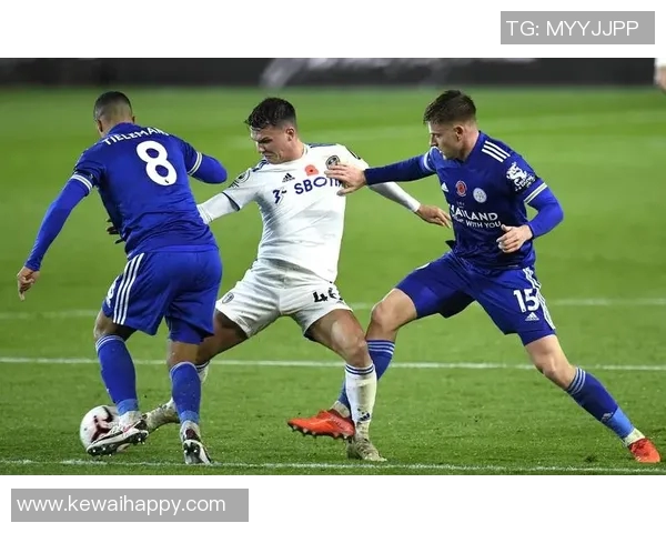 利兹联主场迎战纽波特期待精彩对决与进球盛宴 利兹联主场迎战纽波特期待精彩对决与进球盛宴