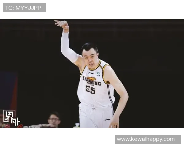 韩德君：从篮球场上的巨人到人生舞台的奋斗者之路