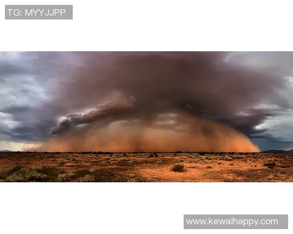 沙巴加与基二激战在即谁能在这场较量中脱颖而出