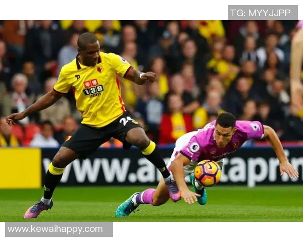 西布罗姆与赫尔城对决前瞻分析及赛果预测探讨