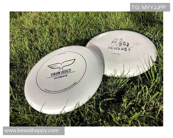 飞盘评论：重庆飞盘队的运营得失MBA