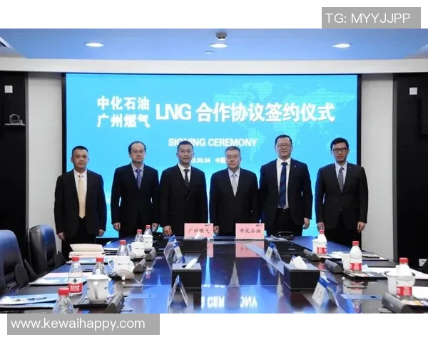 深度分析LNG市场的防御与反击策略探讨