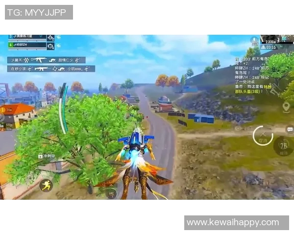 热议和平精英:LNG战术变革如何引领游戏新潮流与战略思考 热议和平精英:LNG战术变革如何引领游戏新潮流与战略思考