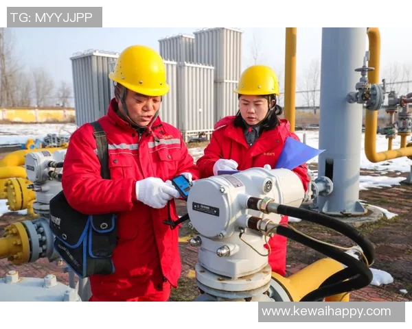 数据分析探讨液化天然气技术表现及其未来发展趋势