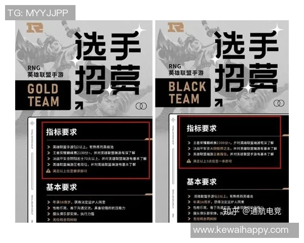 王者荣耀战术解析：深入探讨RNG快攻策略与执行技巧